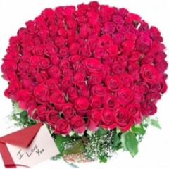 150 red roses bunch-500x500